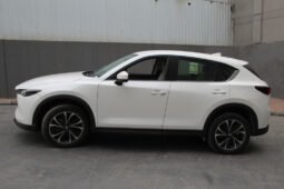 Mazda CX5 2.5 V AT NR 4WD- L(IPM5) full