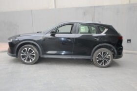 Mazda CX5 2.5 V AT NR 4WD- C(IPM5)