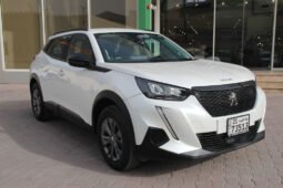 Peugeot 2008 Active 1.6 AT full